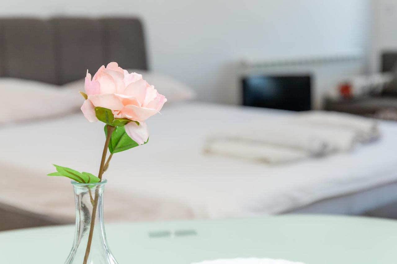Apartament Don Vito Belgrad Zewnętrze zdjęcie